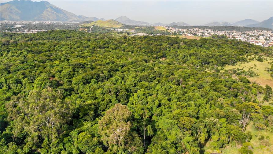 A Floresta do Camboatá seguirá sendo o que sempre foi (Foto: Jefferson Teófilo/Prefeitura do Rio)